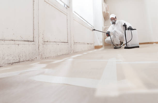 24/7 Emergency Mold Cleanup experts in Hastings, MI