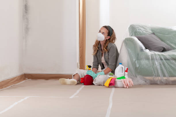 Reliable Mold Cleanup contractor in Hastings, MI by WQB Mold Removal
